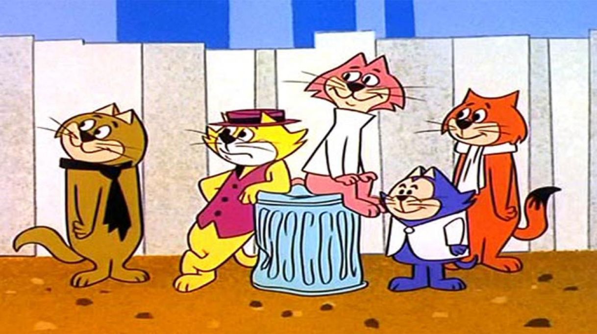 Fashion Don gato y su pandilla