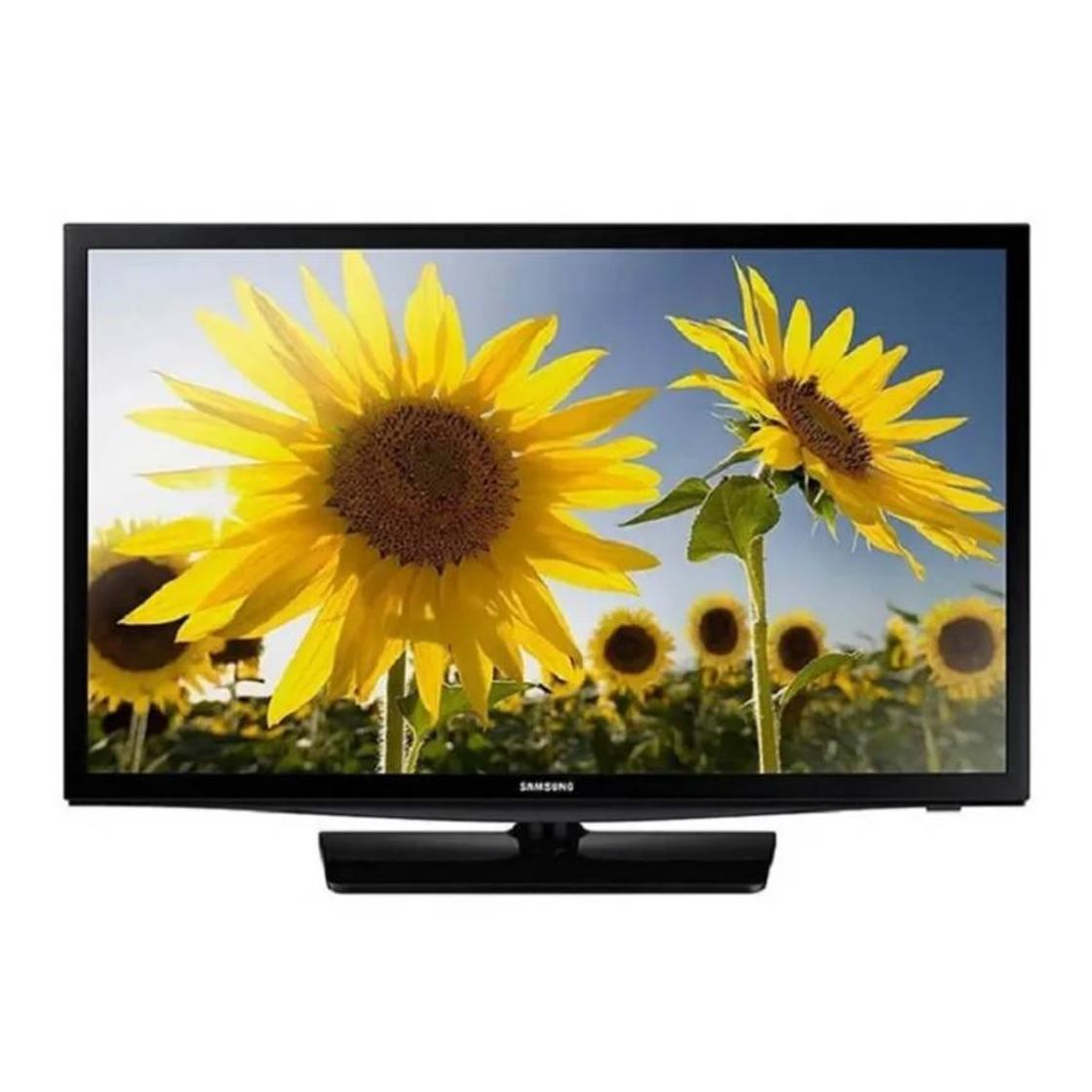 Moda Monitor Samsung 24 Pulgadas LT24D310 Negro | Walmart en línea