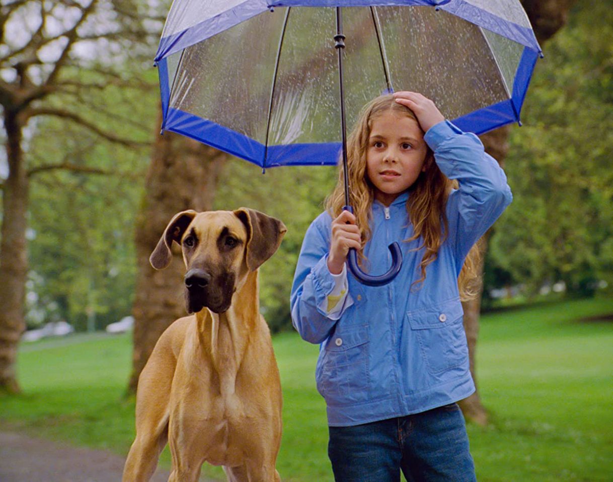 Película Chestnut: El héroe de Central Park