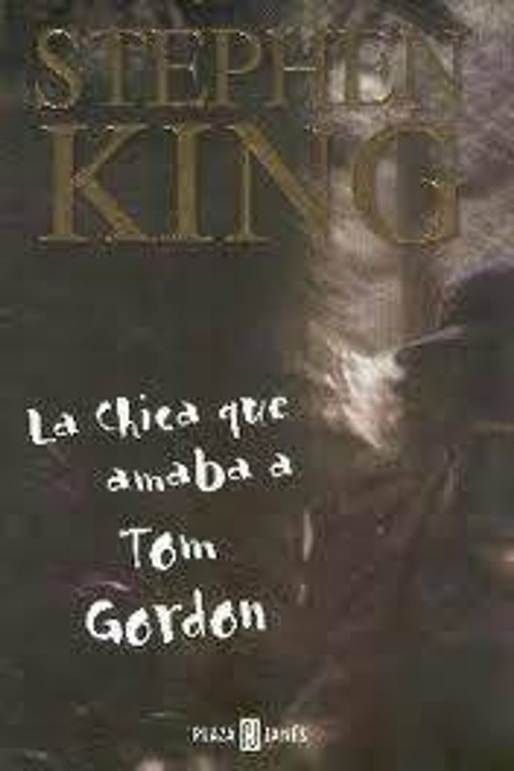 Libro La Chica Que Amaba a Tom Gordon 