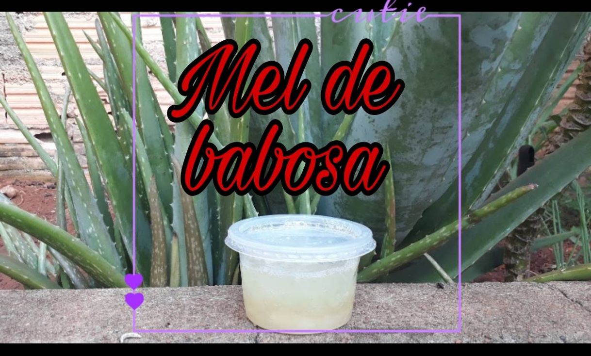 Moda Mel de babosa