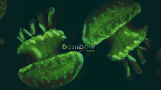 Danny Ocean - Dembow