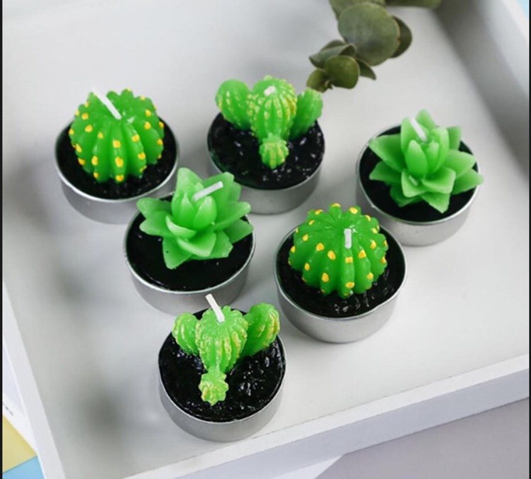 Productos Velas de cactus