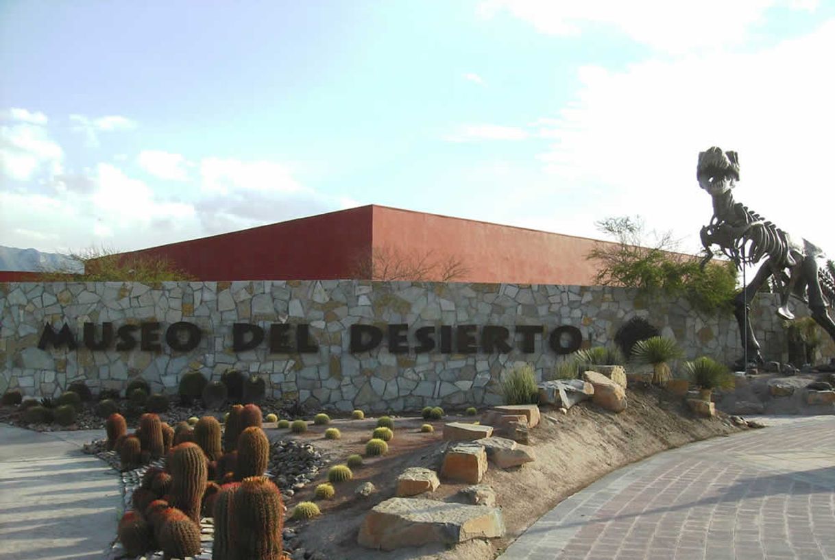 Lugar Museo del Desierto