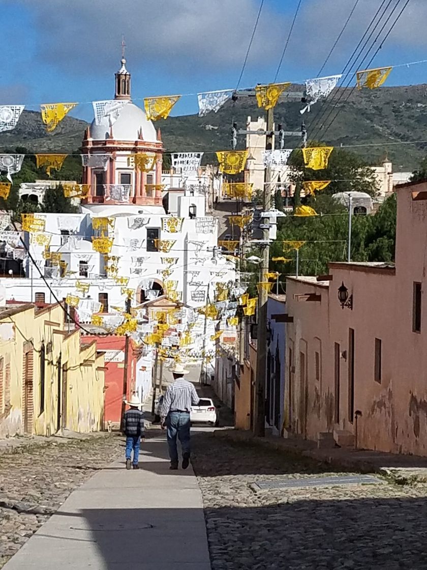 Lugar Mineral de Pozos