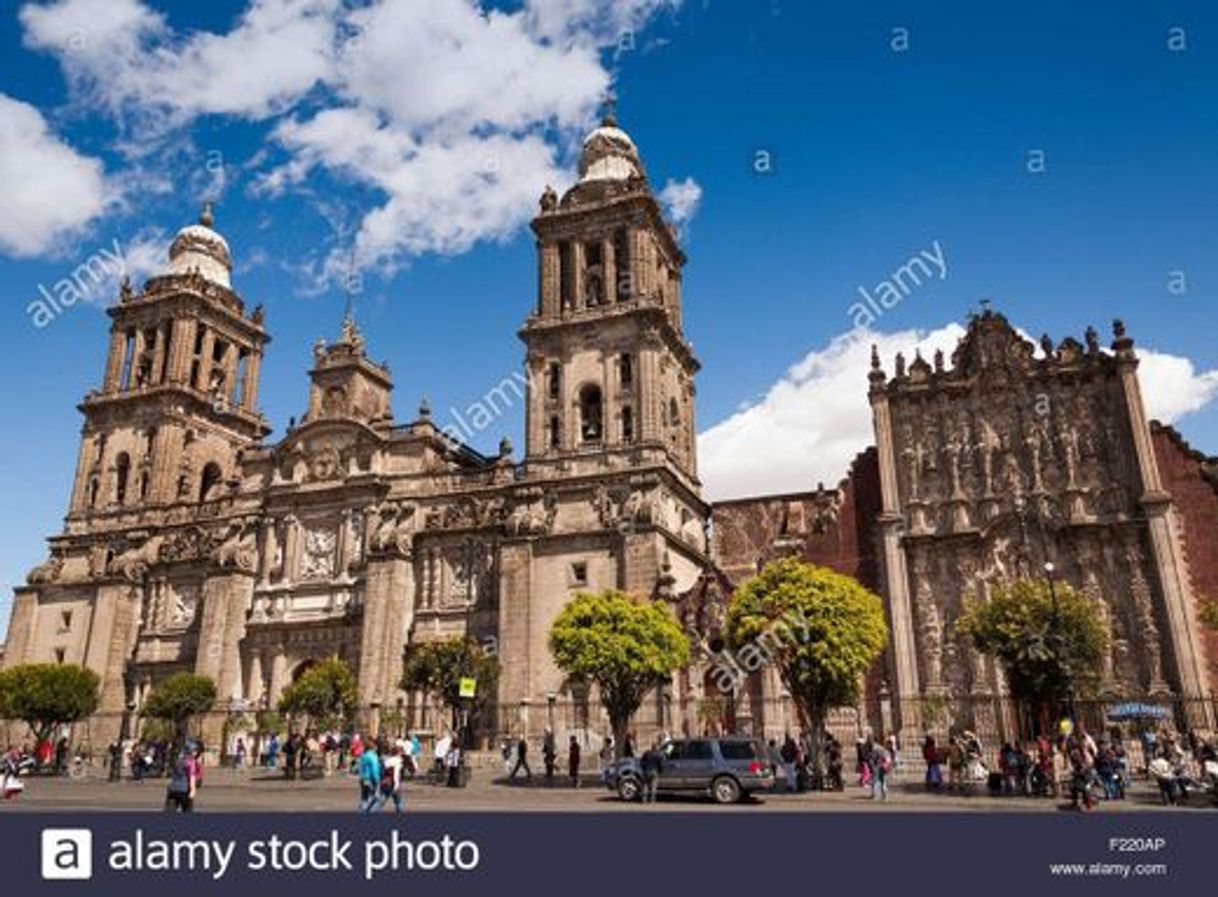 Place Catedral Metropolitana de la Asunción de María