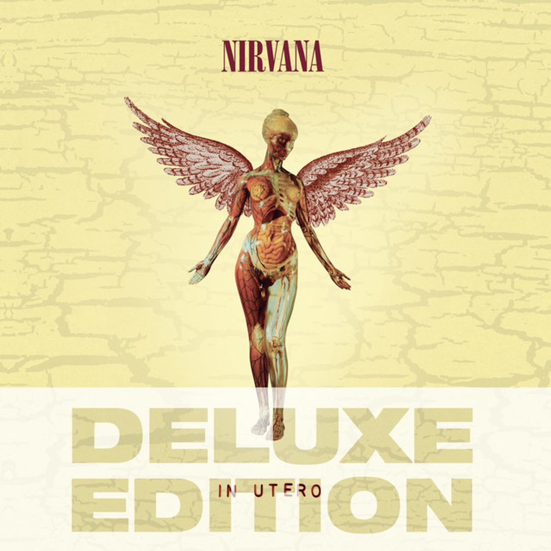 Canción Heart-Shaped Box