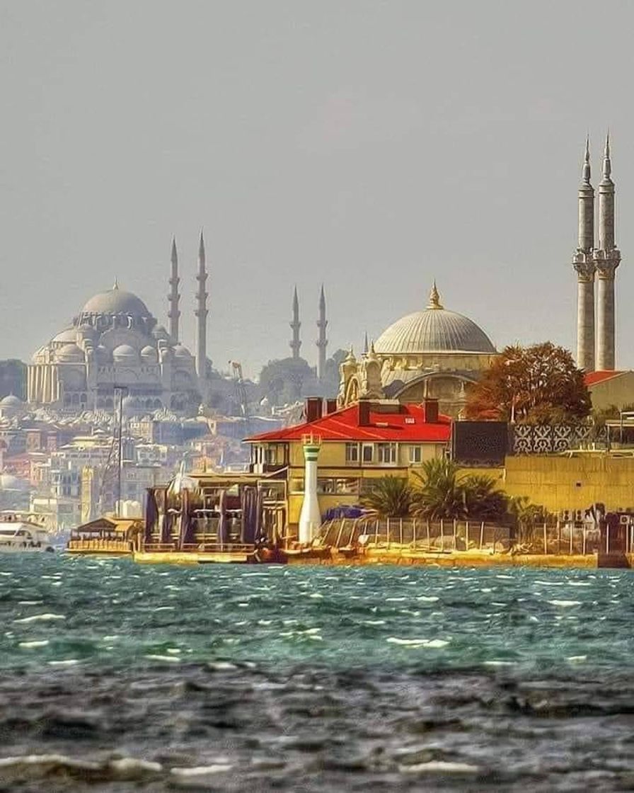 Place Estambul