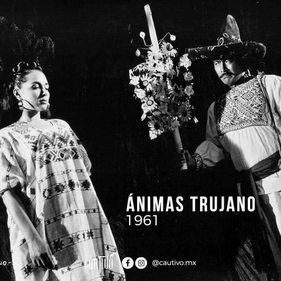 Movie Ánimas Trujano (El hombre importante)