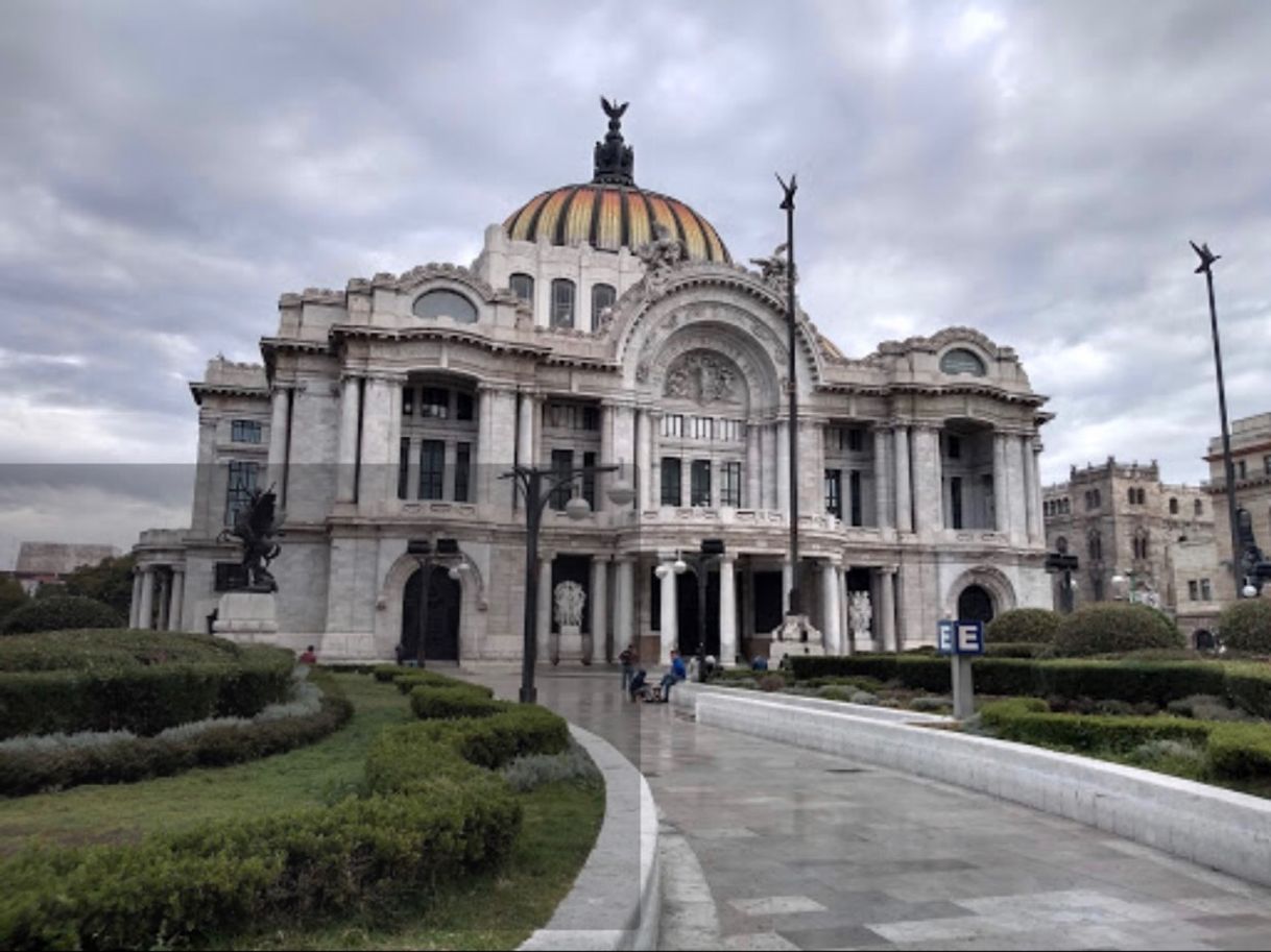 Lugar Museo de Bellas Artes