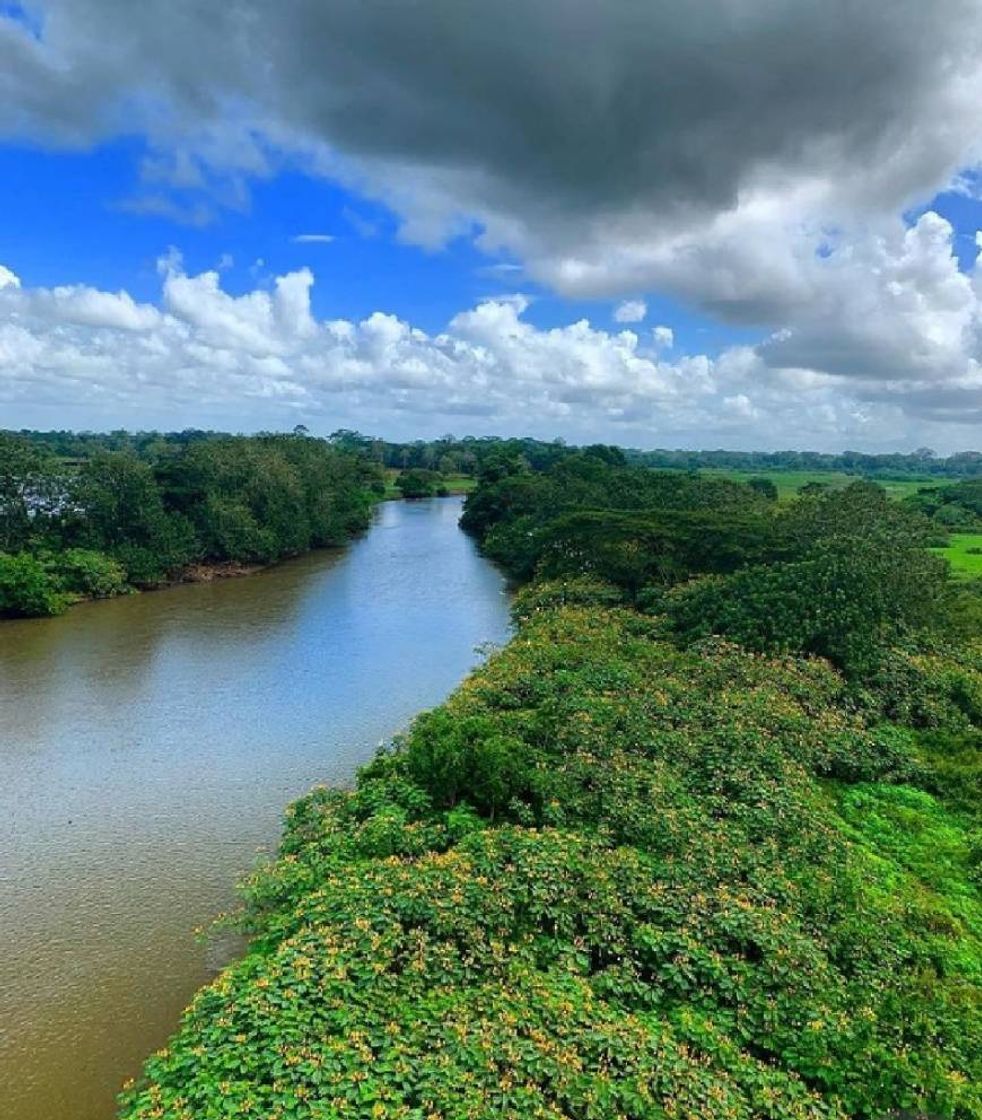 Place Caño Negro