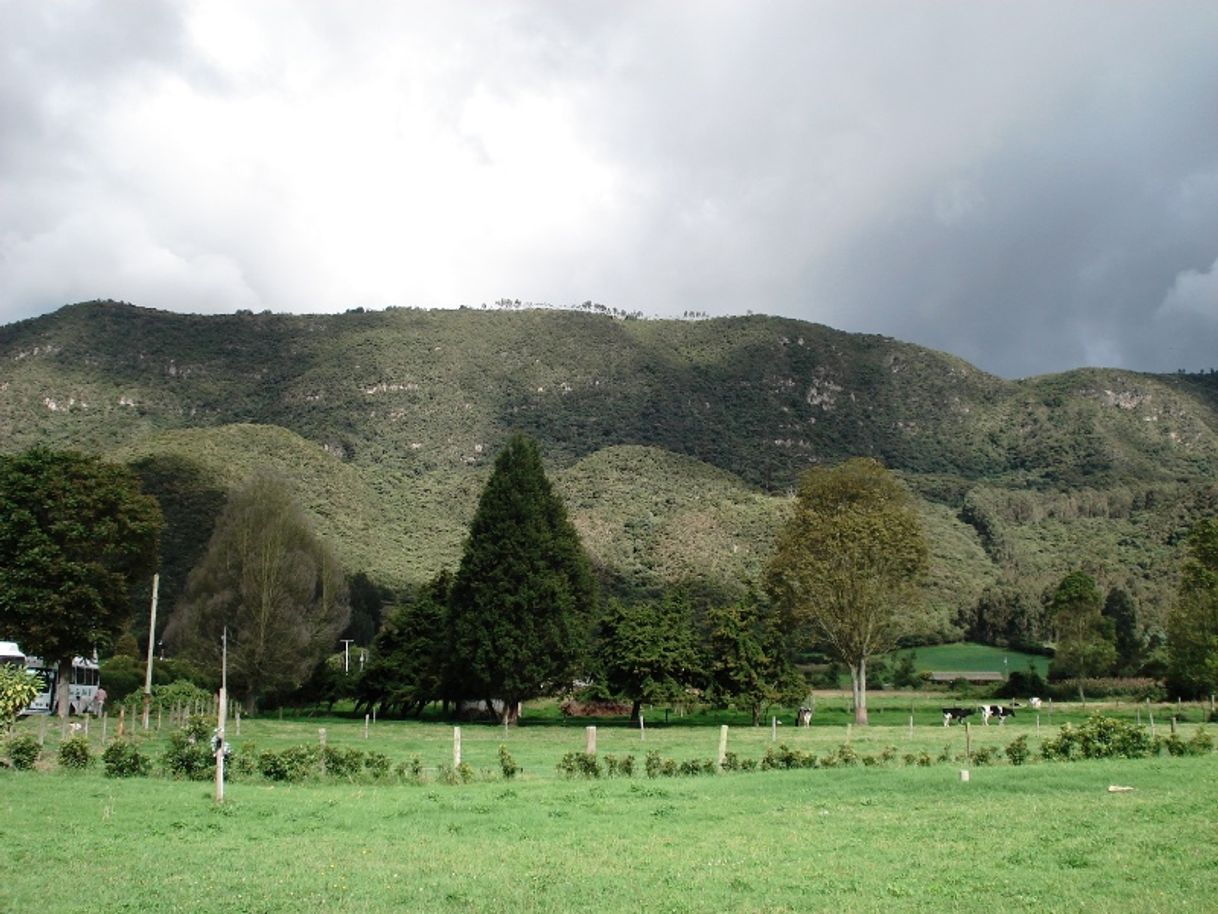 Place Sabana de Bogotá