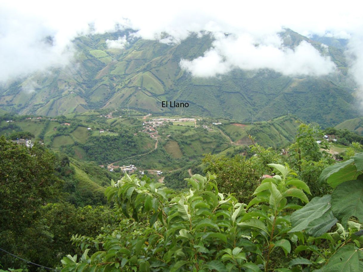 Place El Llano