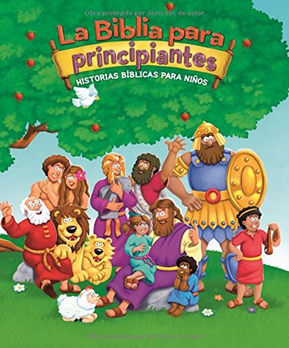 Book La Biblia Para Principiantes: Historias Bíblicas Para Niños