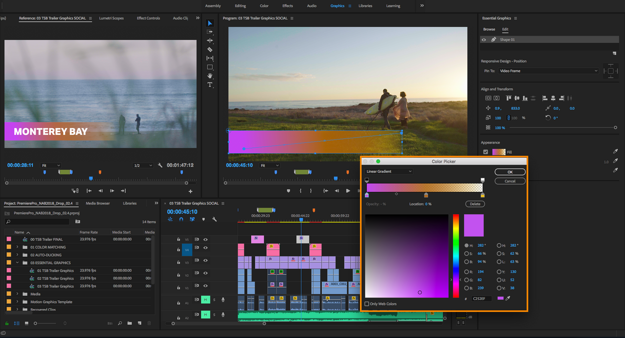 Moda Adobe Premiere PRO