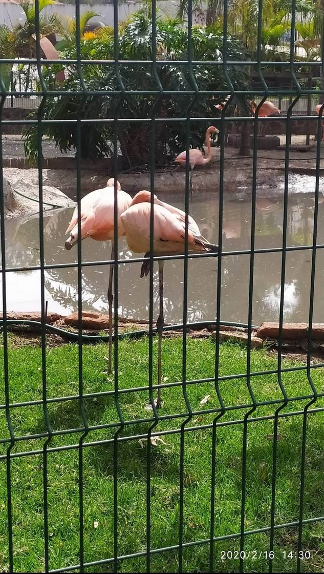 Place Zoológico De Morelia Herpetario