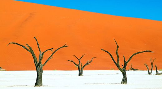 Dead Vlei