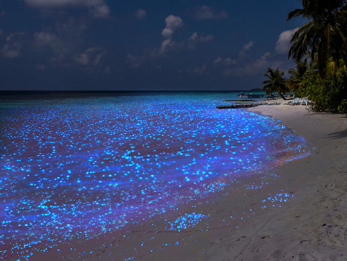 Vaadhoo