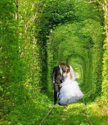 Tunnel of Love