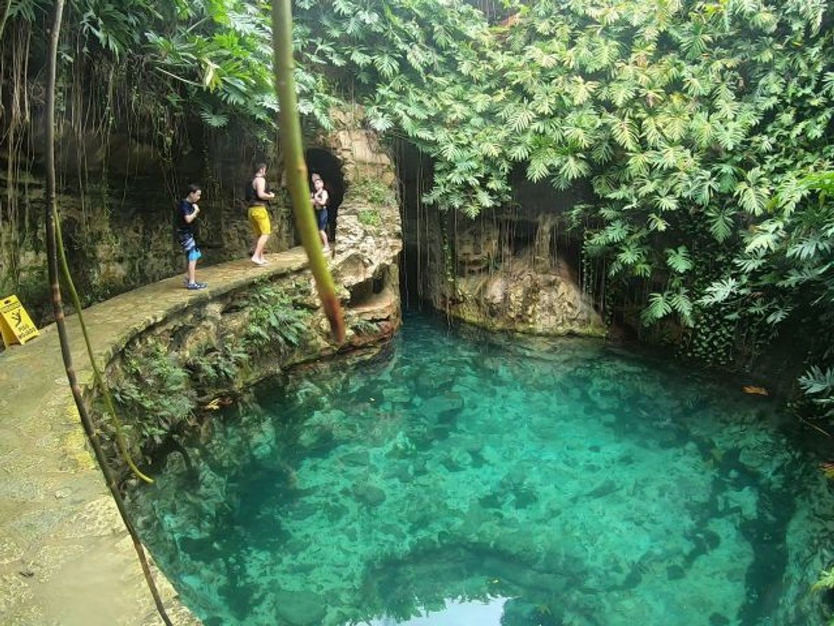 Lugar Cenotes Hacienda Mucuyché