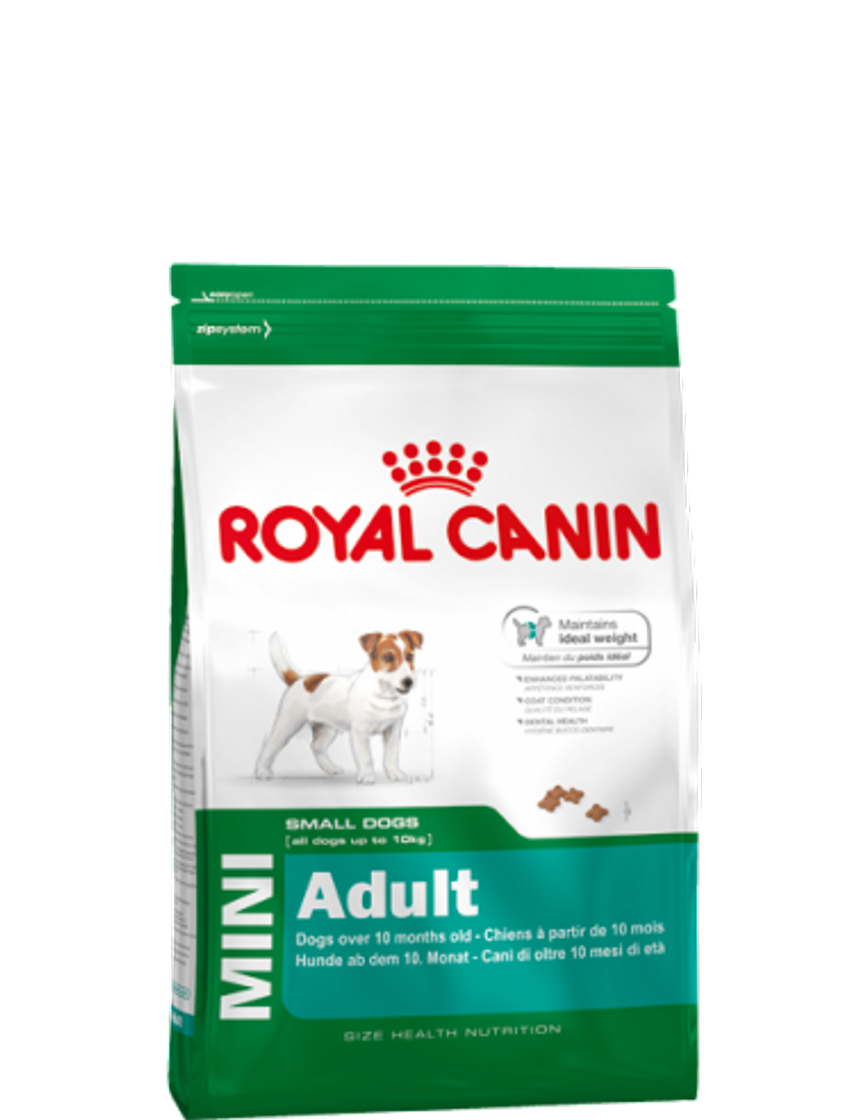 Fashion Royal Canin cão