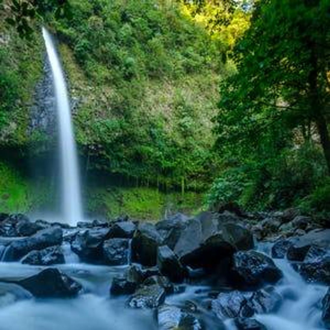 Lugar Catarata La Fortuna