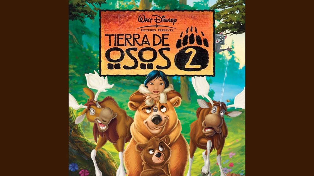 Fashion Tierra de Osos 2 - YT