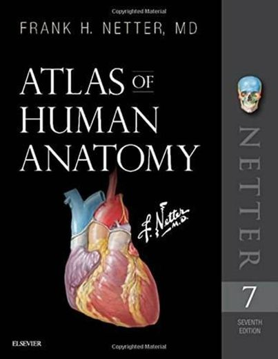 Livros Anatomia e Fisiologia 