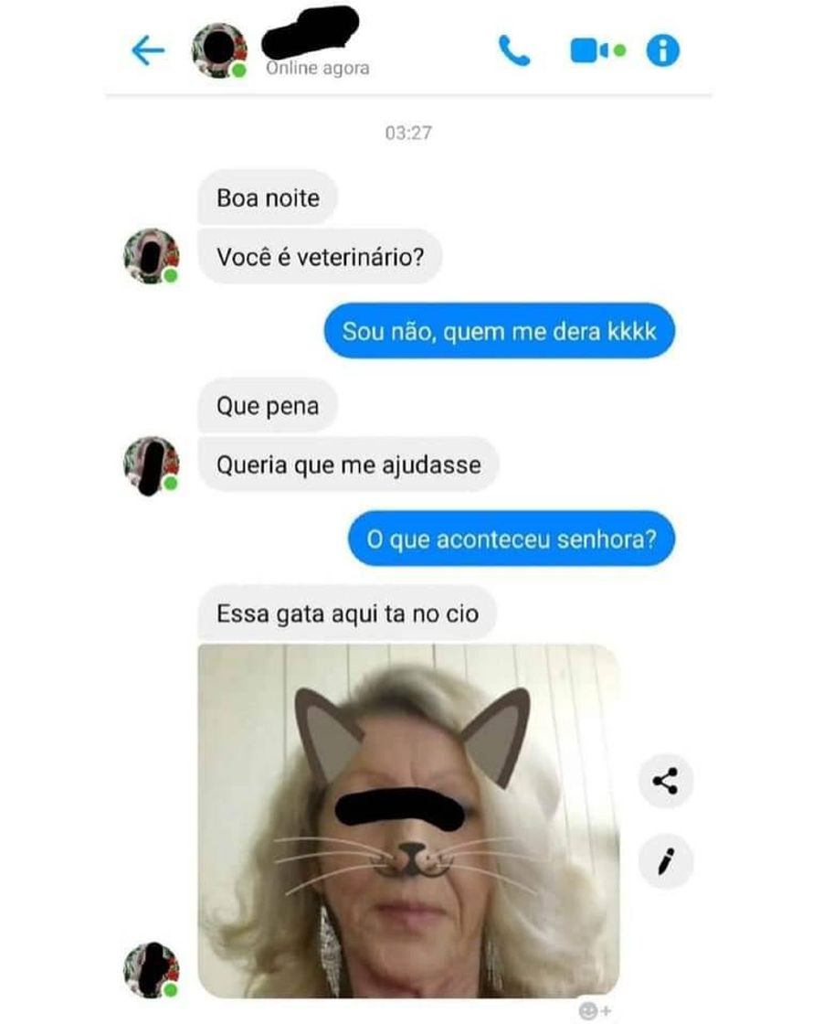 Fashion ALGUM VETERINÁRIO???