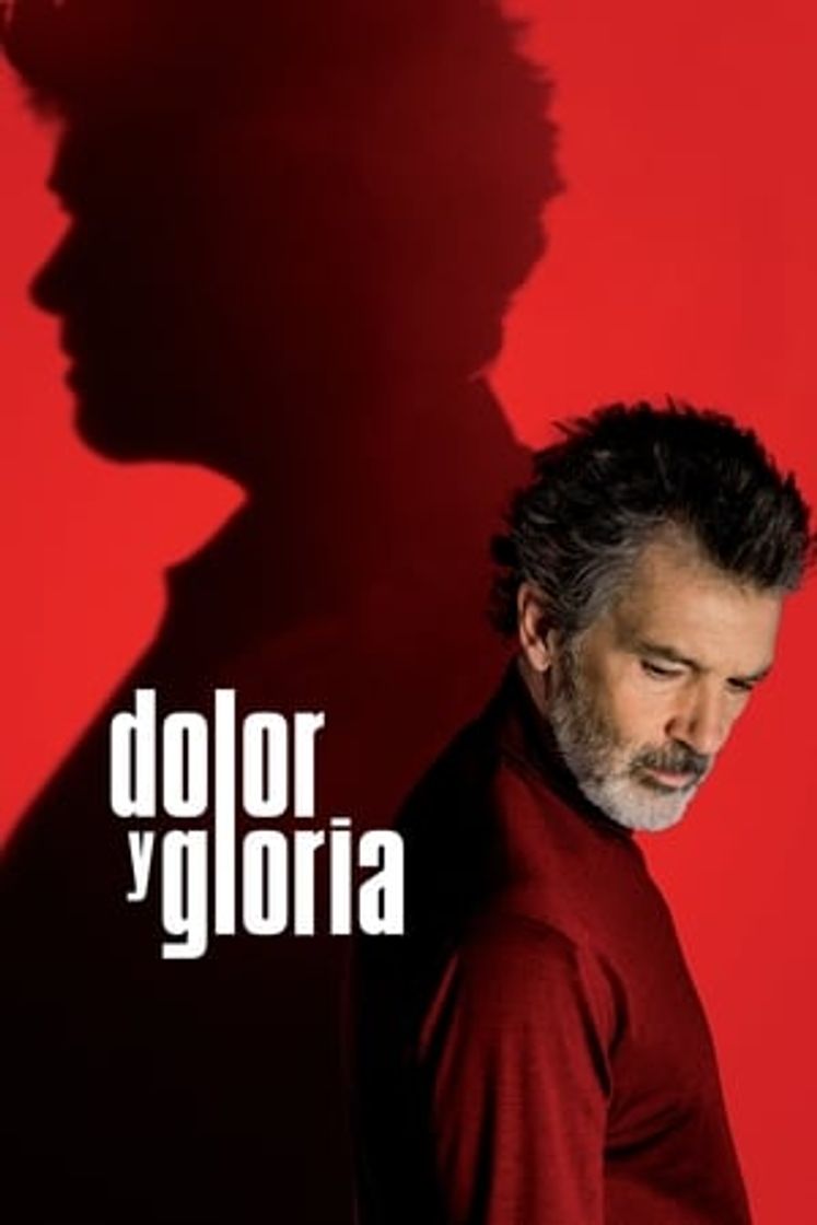 Película Dolor y gloria