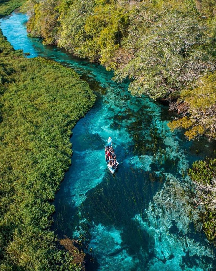 Lugar Rio Sucuri Ecoturismo Bonito MS