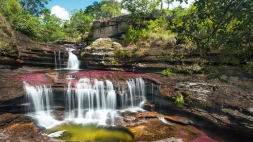 Caño Cristales