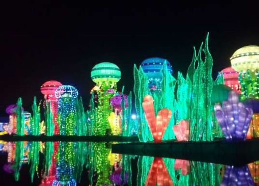 Dubai Garden Glow Season-5 is Now Open