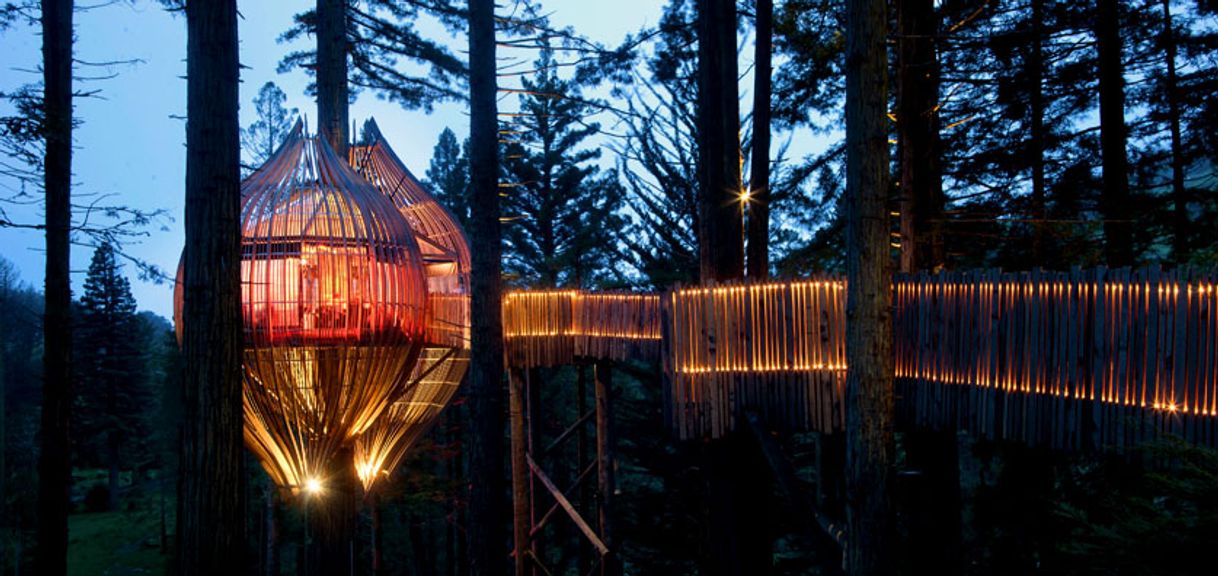 Restaurantes Redwoods Treehouse