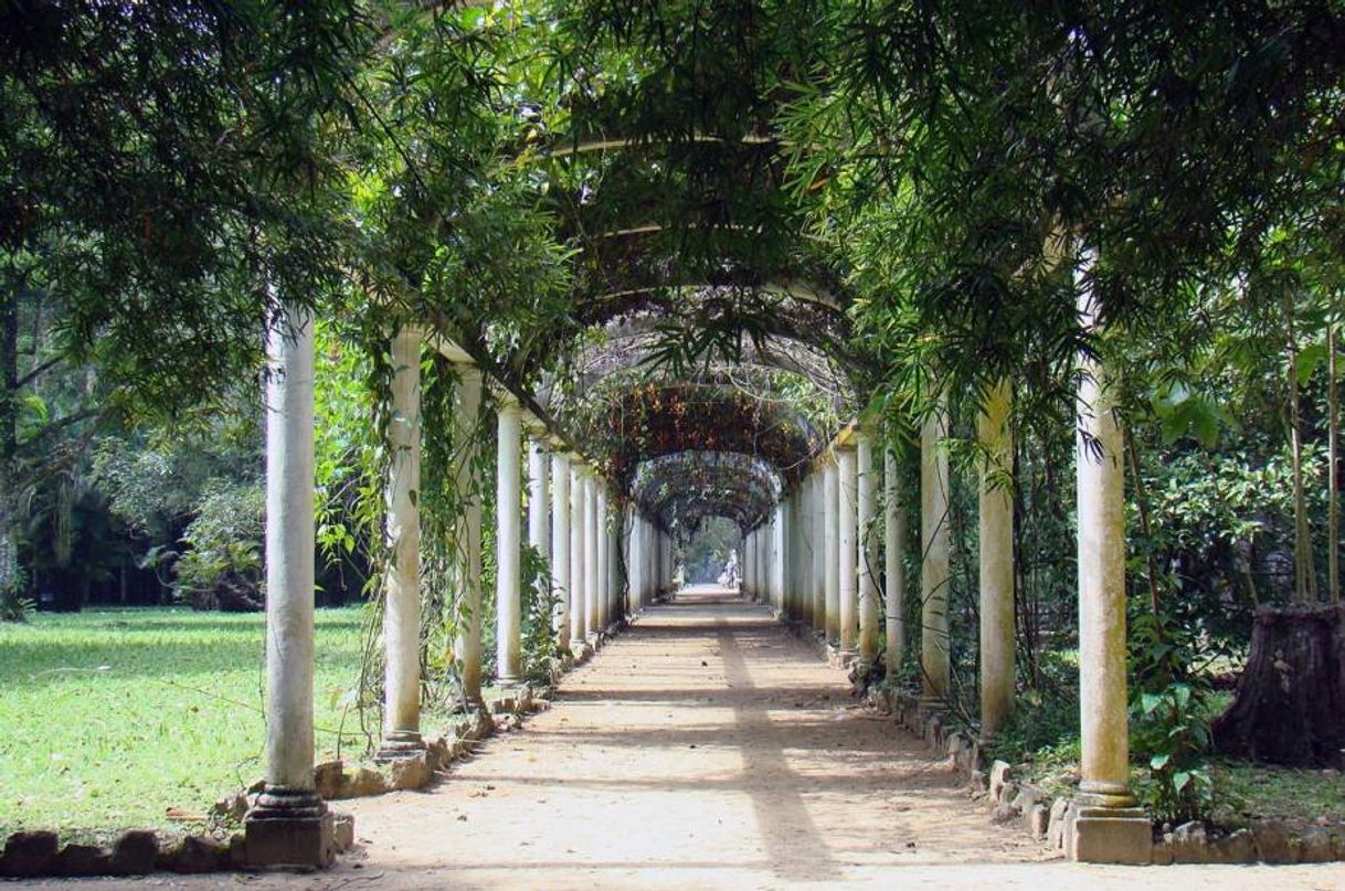 Lugar Jardim Botânico