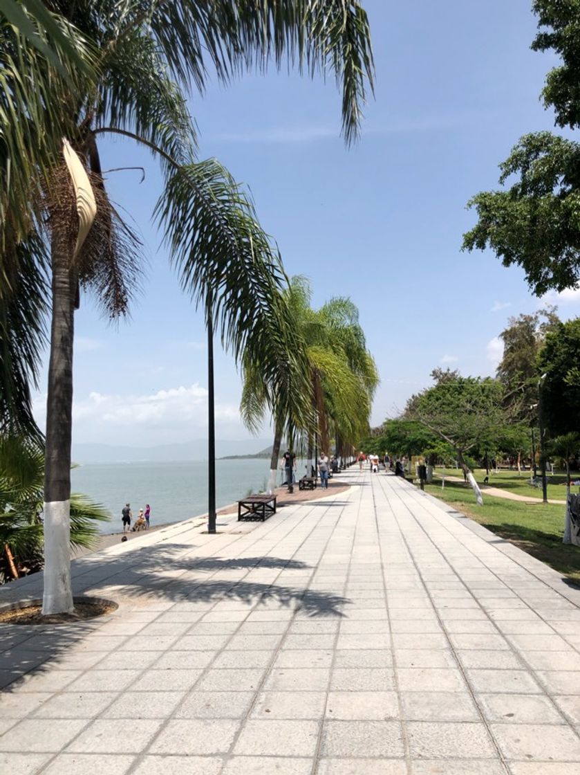 Lugar Chapala