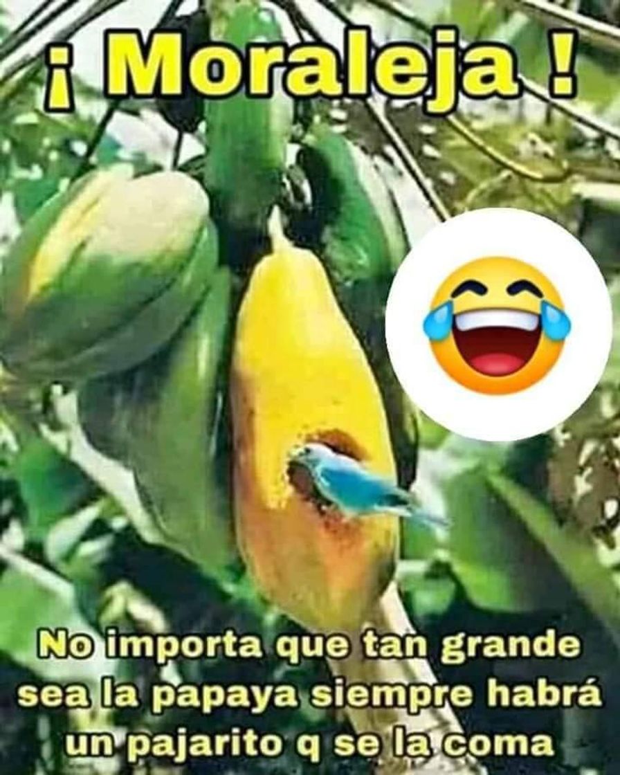 Moda Chistes memes graciosos