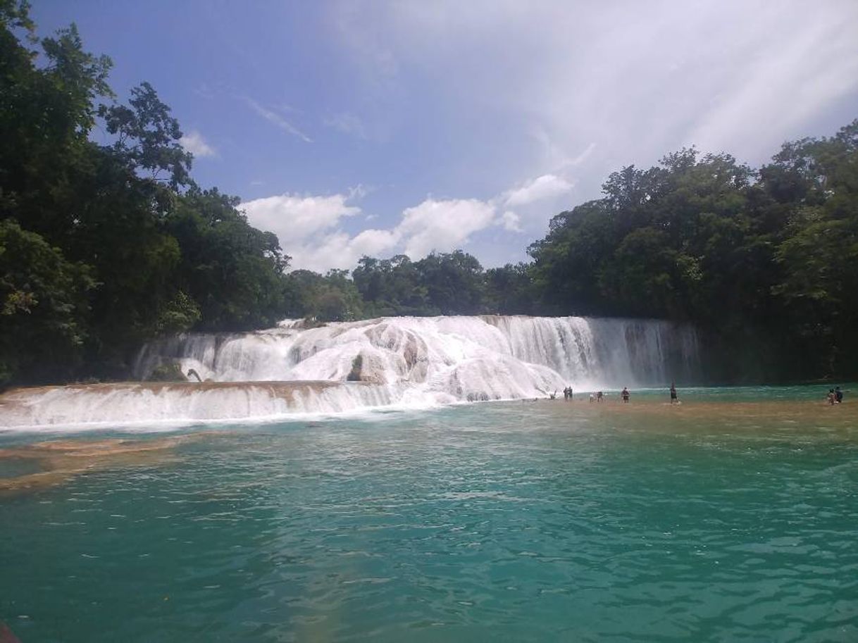 Lugar Agua Azul