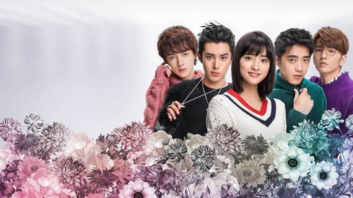 Serie Jardín de meteoros (Meteor Garden)