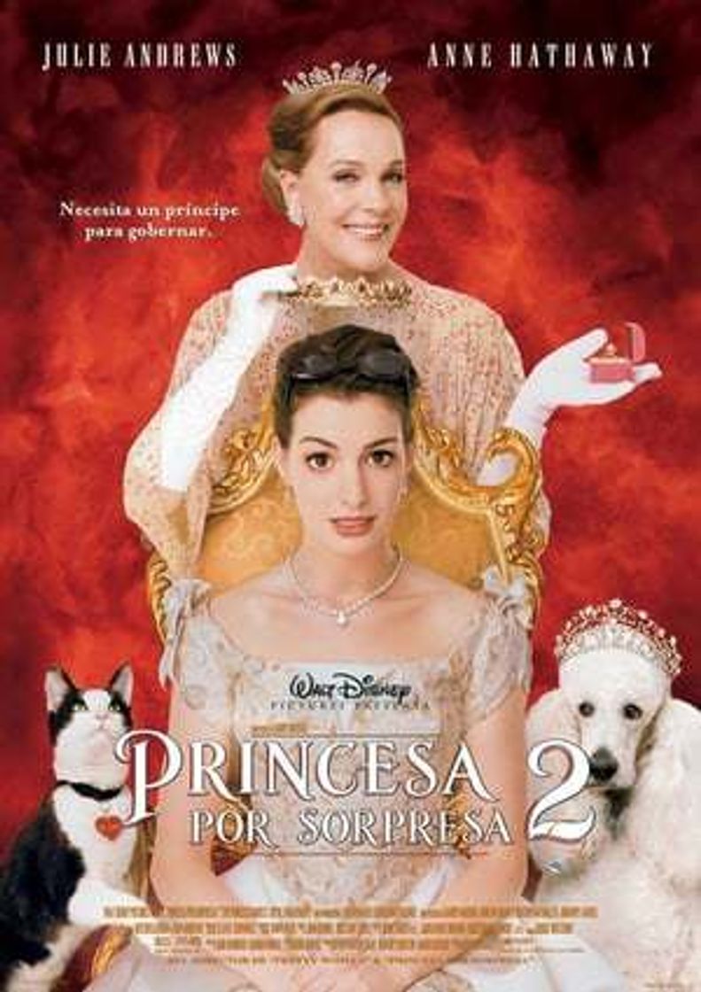 Movie Princesa por sorpresa 2