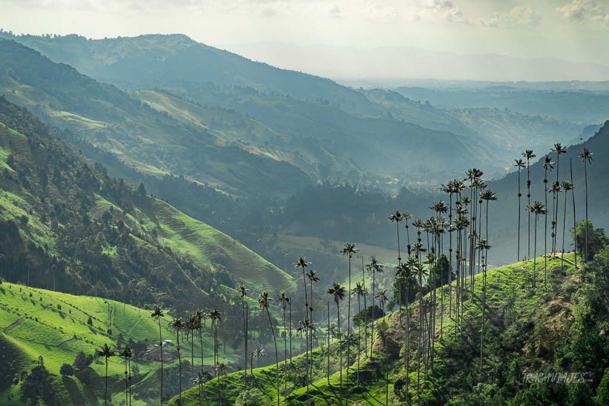 Lugar Eje Cafetero