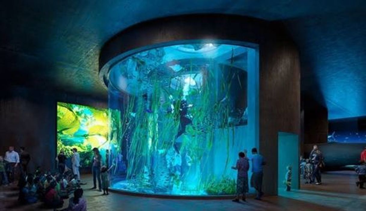 Lugar Acuario Mazatlán