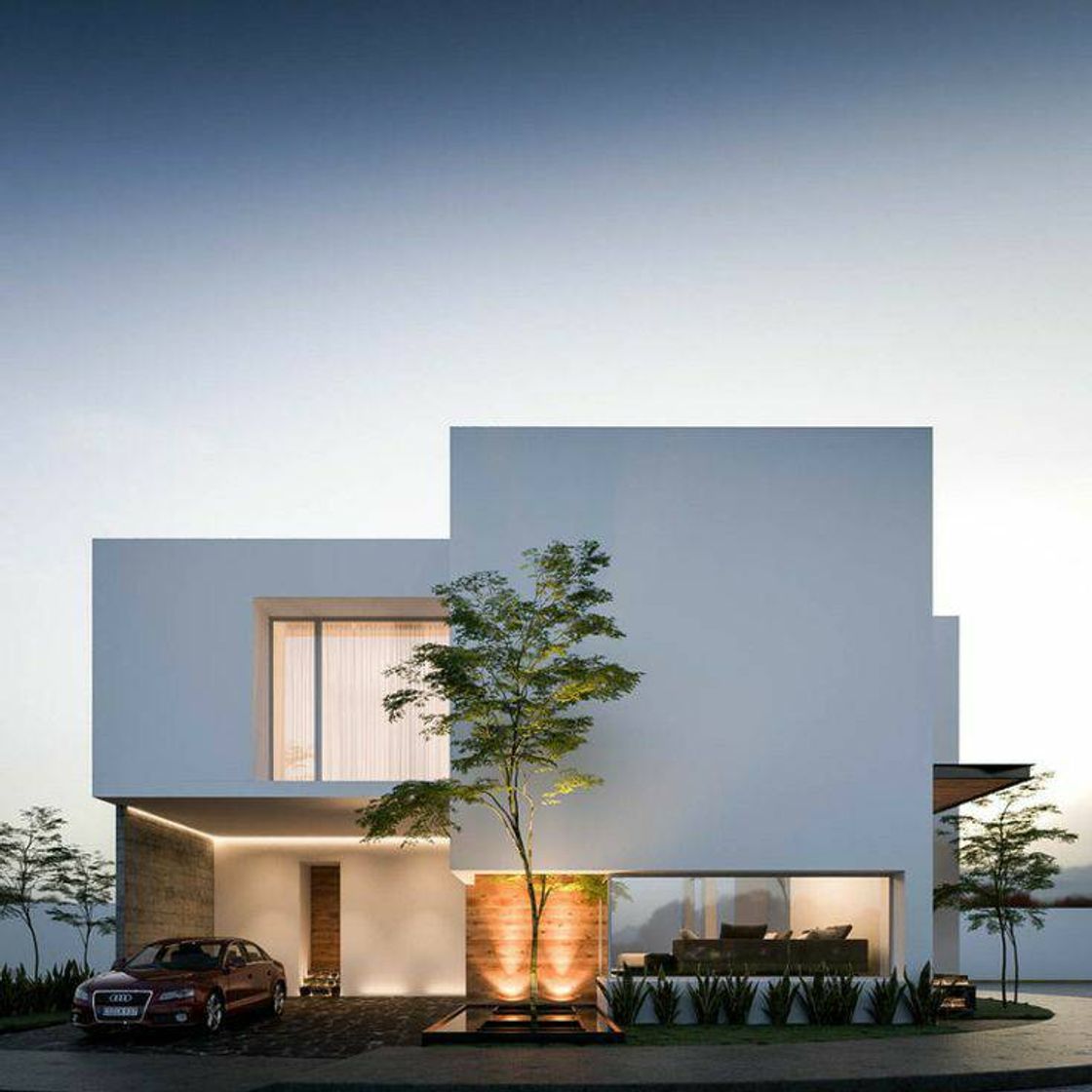 Social Arquitectura minimalista