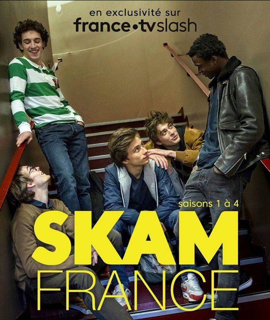 Serie Skam Francia