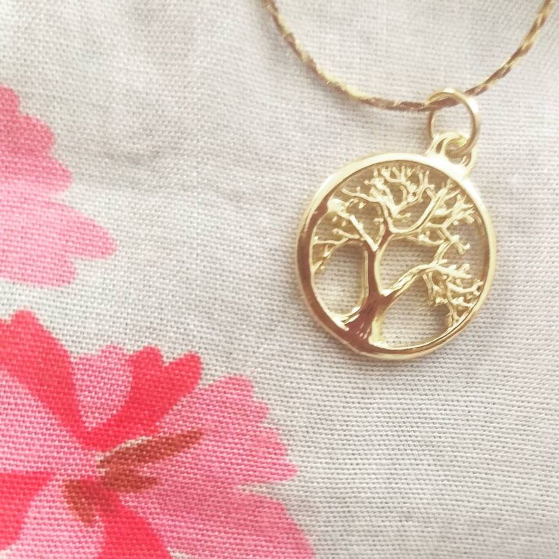 Social Árbol de la vida