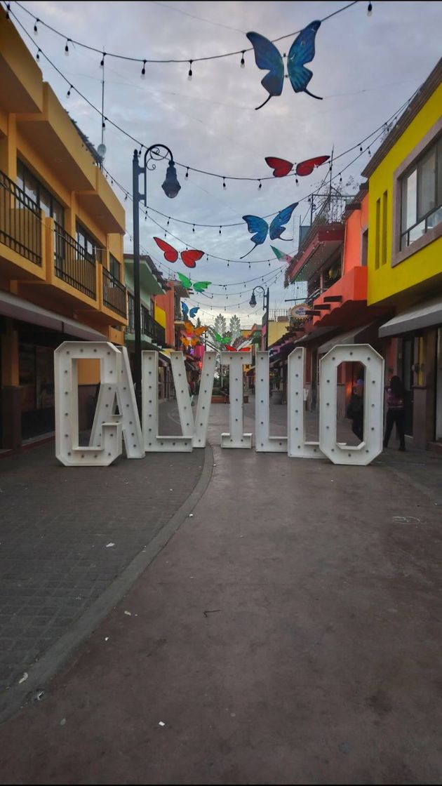 Lugar Calvillo