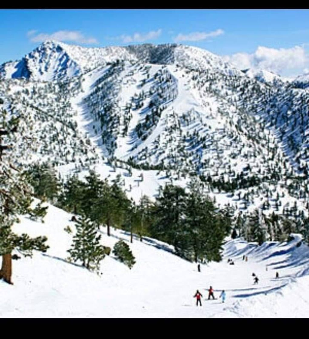 Lugar Mount Baldy