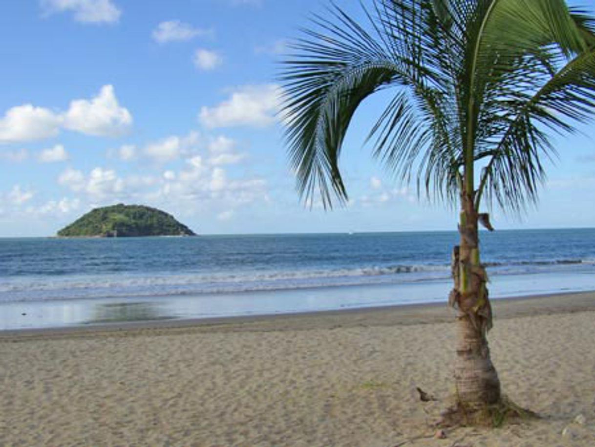 Place Playa de Guayabitos