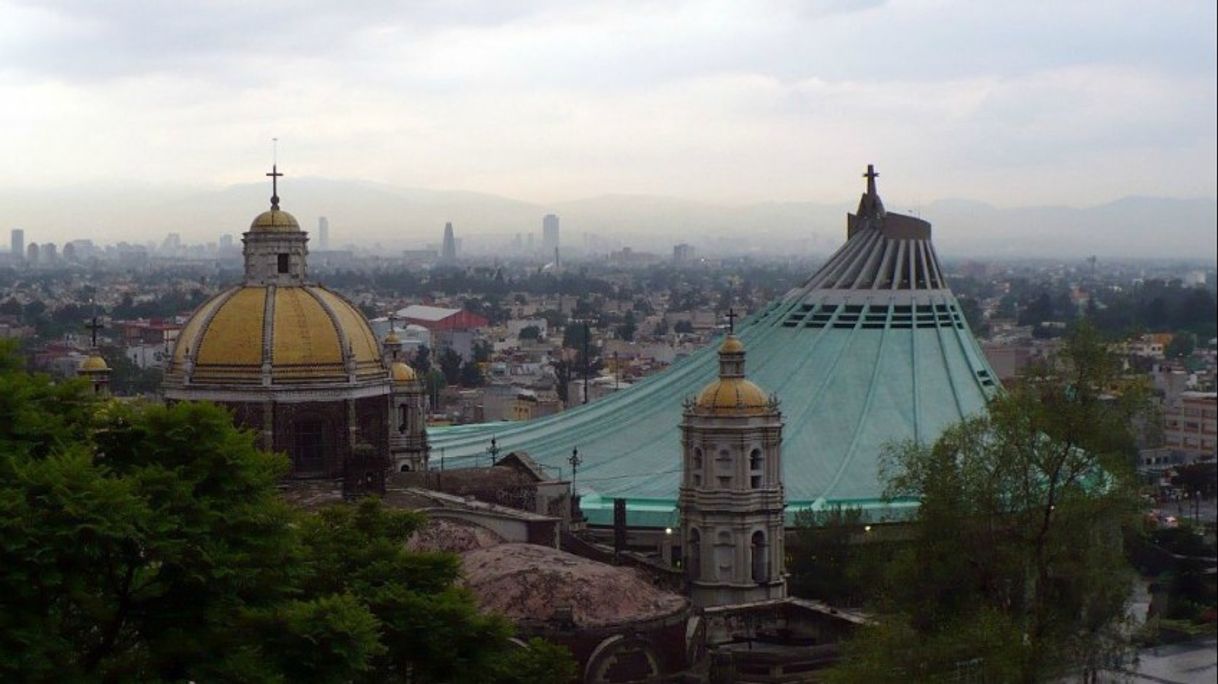 Lugar Basílica de Guadalupe