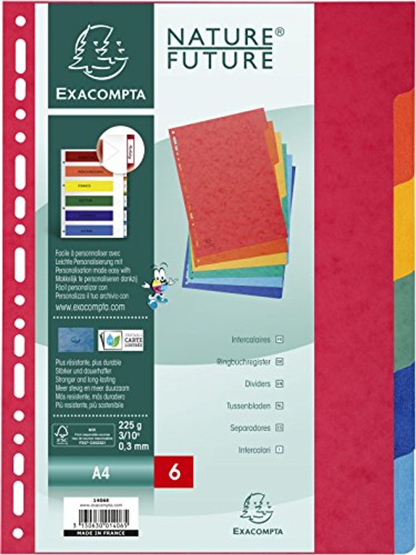 Social Exacompta 1406E - Juego de 6 separadores de cartulina lustrada DIN A4